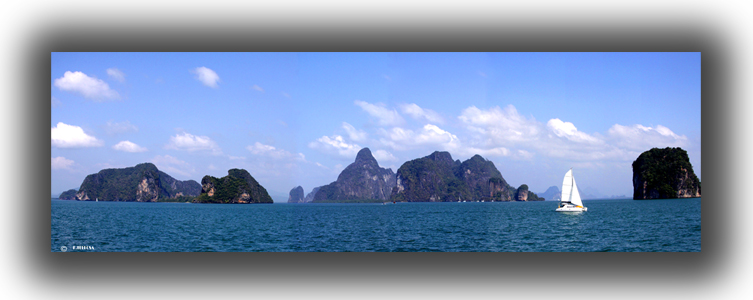 koh phang